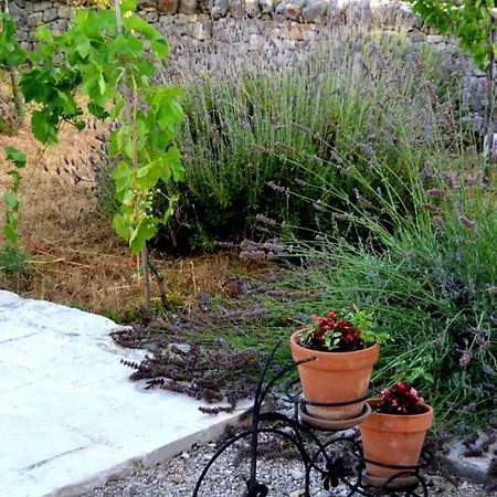 L'uliveto Lägenhet Cisternino