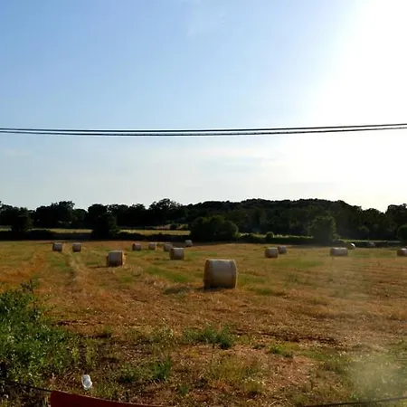 L'uliveto * Cisternino