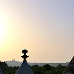L'uliveto * 奇斯泰尼诺