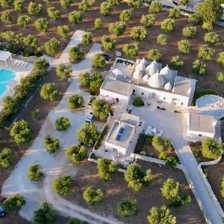 L'uliveto * チステルニーノ