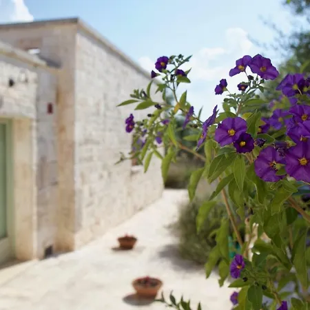 L'uliveto Apartment *