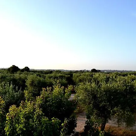 アパート L'uliveto