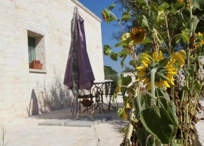 L'uliveto Apartament *