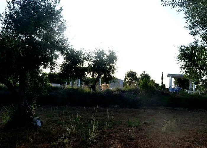 L'uliveto Apartament