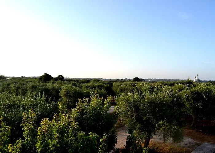 Apartament L'uliveto